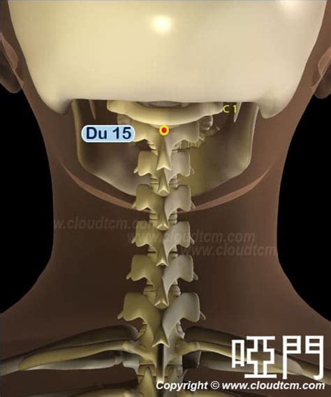 啞門穴位置|啞門穴：緩解舌緩不語、音啞、頭重、頭痛